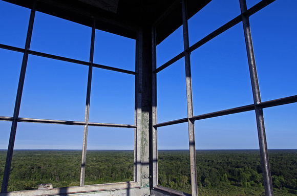 The Fire Tower View