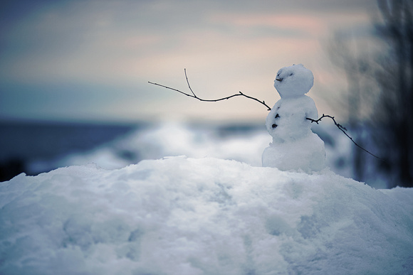 Perfect Little Snowman