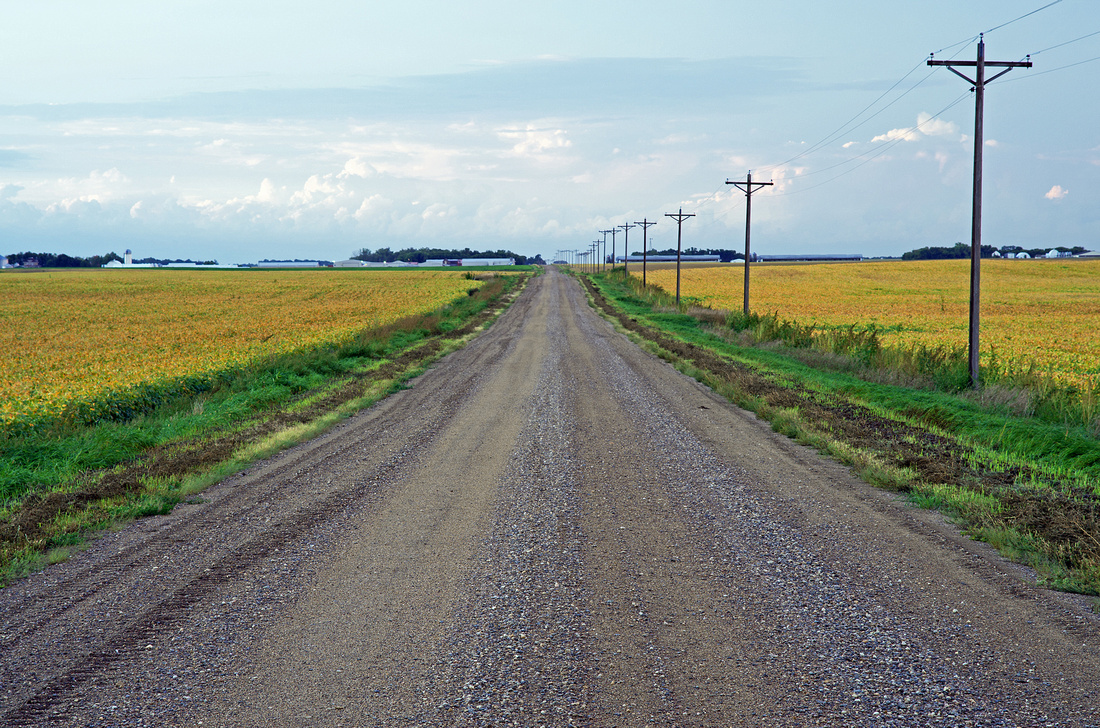Yellow Road