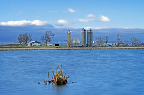 Farm Across the Pond