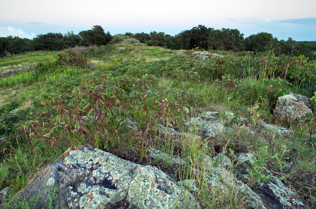 Gneiss Outcrops at Twilight