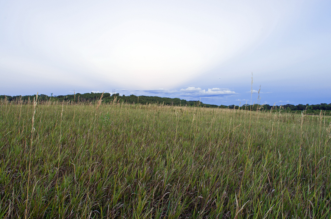 Gneiss Outcrops SNA Prairie Grass