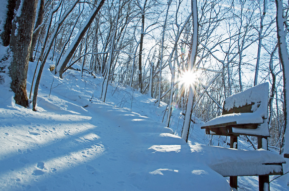 John A. Latsch State Park in Winter