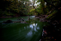 Minneopa Creek Tinted Green