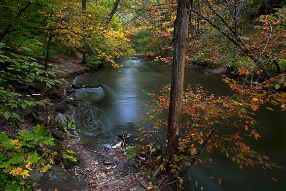 Fall Colors Along Minneopa Creek