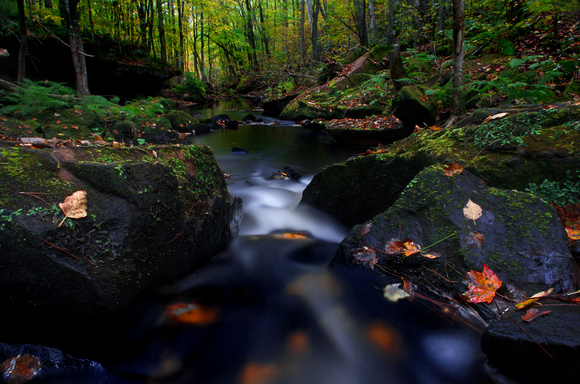 Wolf Creek in Fall