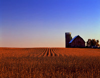 Minnesota Farm Scene 2011
